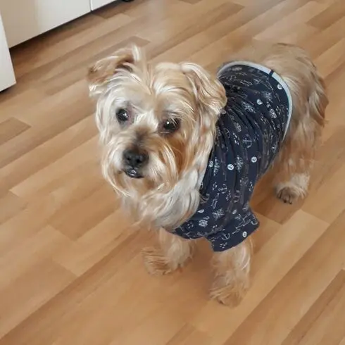 Condolence image of Claudia mit ASKO❤️ 