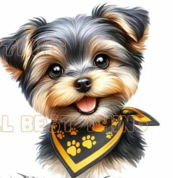 Condolence image of Martina mit Seelenhund Samy ♥️⭐♥️ für immer im Herzen 