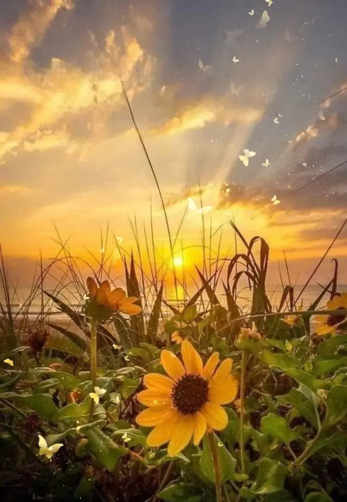 Condolence image of ⭐️Dobranoc nasz najdroższy Jackusiu♥️