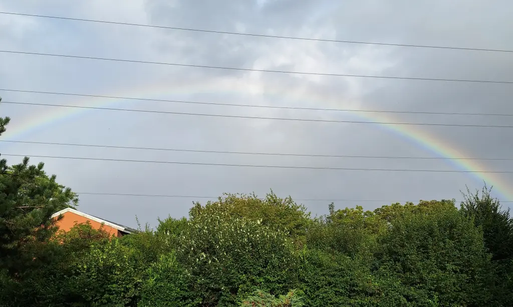 Condolence image of ⭐️Dobranoc nasz najdroższy Jackusiu♥️