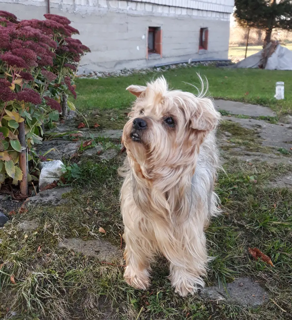 Condolence image of Ewa