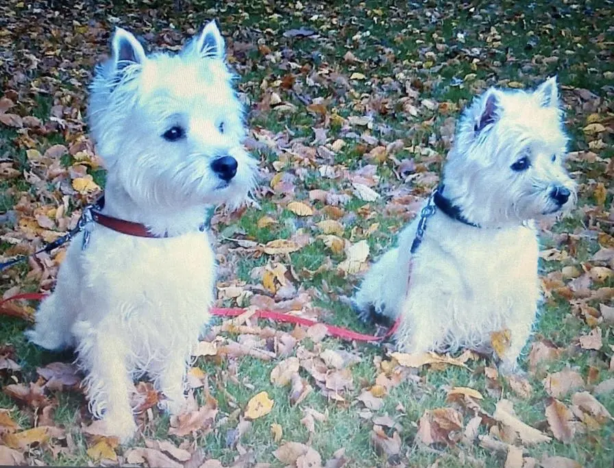 Condolence image of Unbekannt