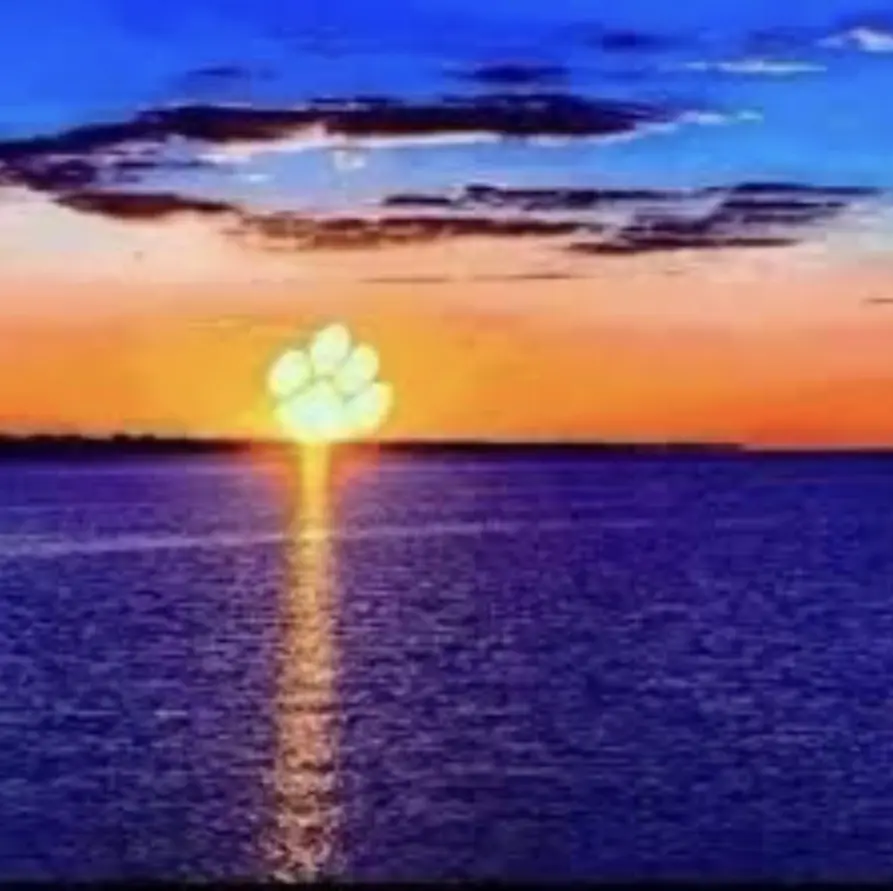 Condolence image of Wenke mit Lilli im❤️