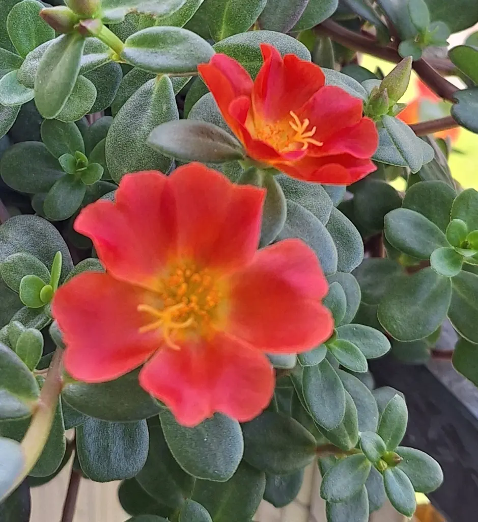 Condolence image of Ewa & Krzysztof 