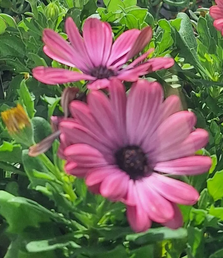 Condolence image of Ewa & Krzysztof 