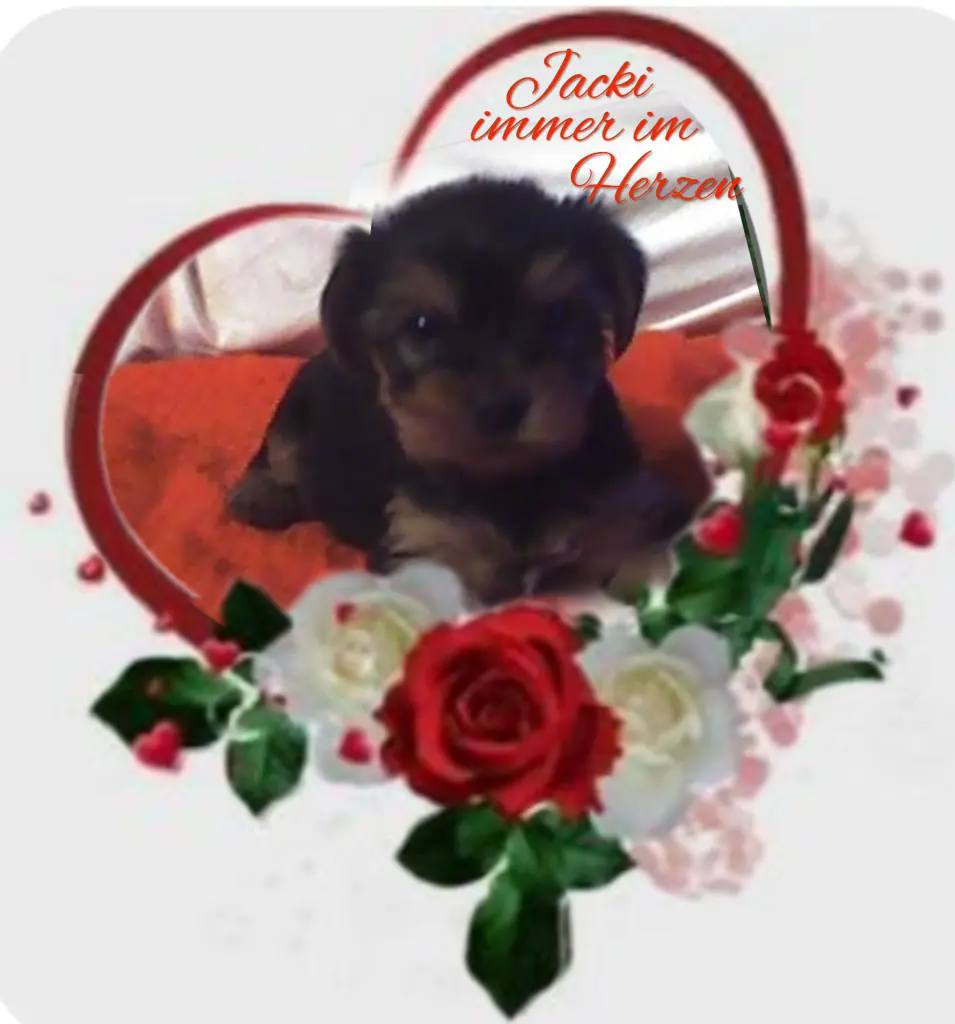 Condolence image of Ewa & Krzysztof 