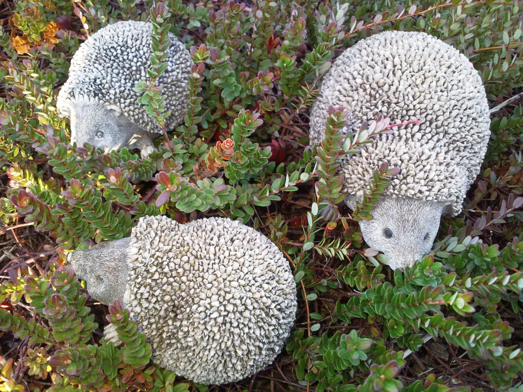 Condolence image of Liebe Herbstgrüße