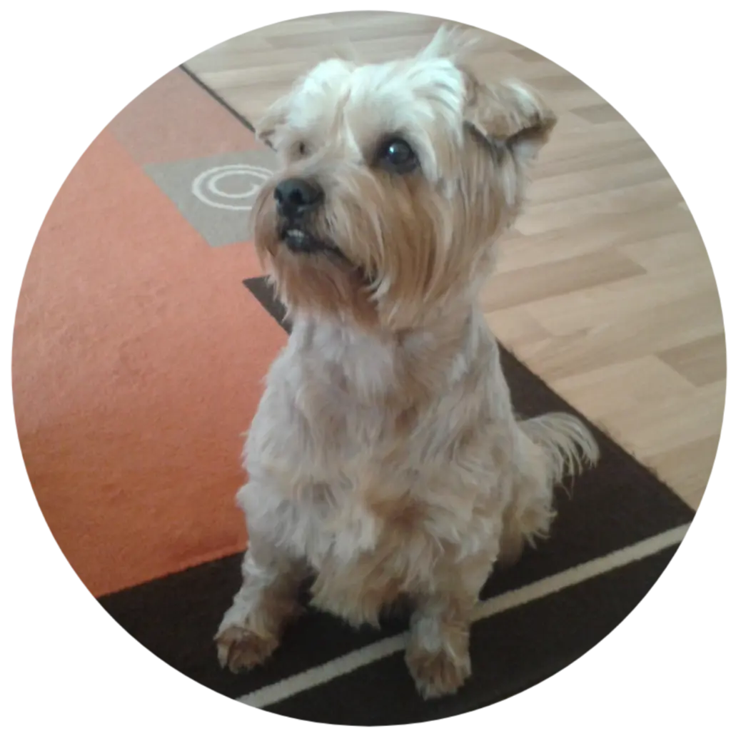 Condolence image of ⭐️Dobranoc nasz najdroższy Jackusiu♥️ 