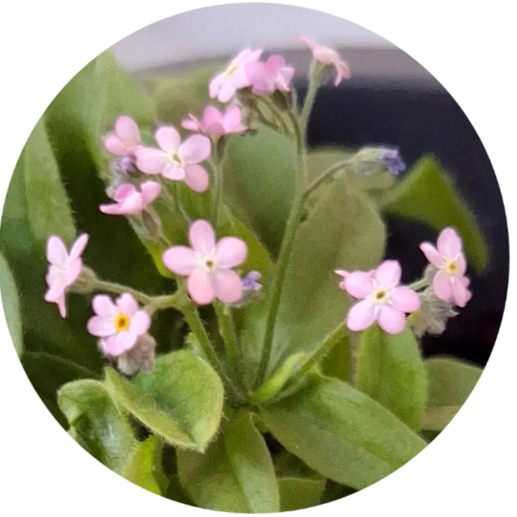 Condolence image of Ewa & Krzysztof 