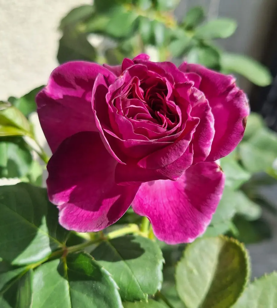 Condolence image of Ewa & Krzysztof 