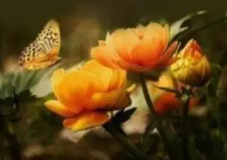 Condolence image of ⭐️Dobranoc nasz najdroższy Jackusiu♥️ 