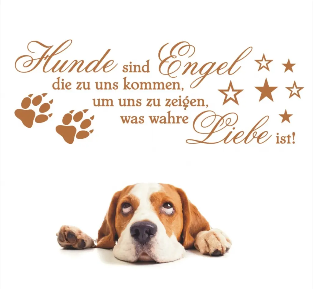 Condolence image of Wenke mit Lilli tief im ❤️