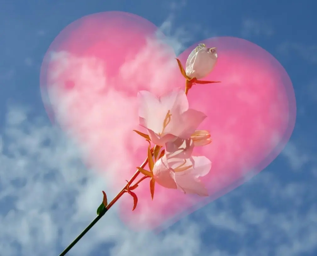 Condolence image of Ewa & Krzysztof 