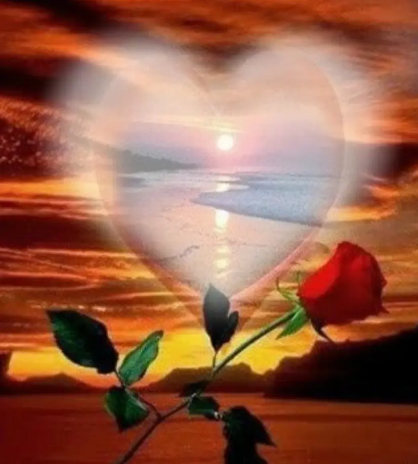 Condolence image of ⭐️Dobranoc nasz najdroższy Jackusiu♥️ 