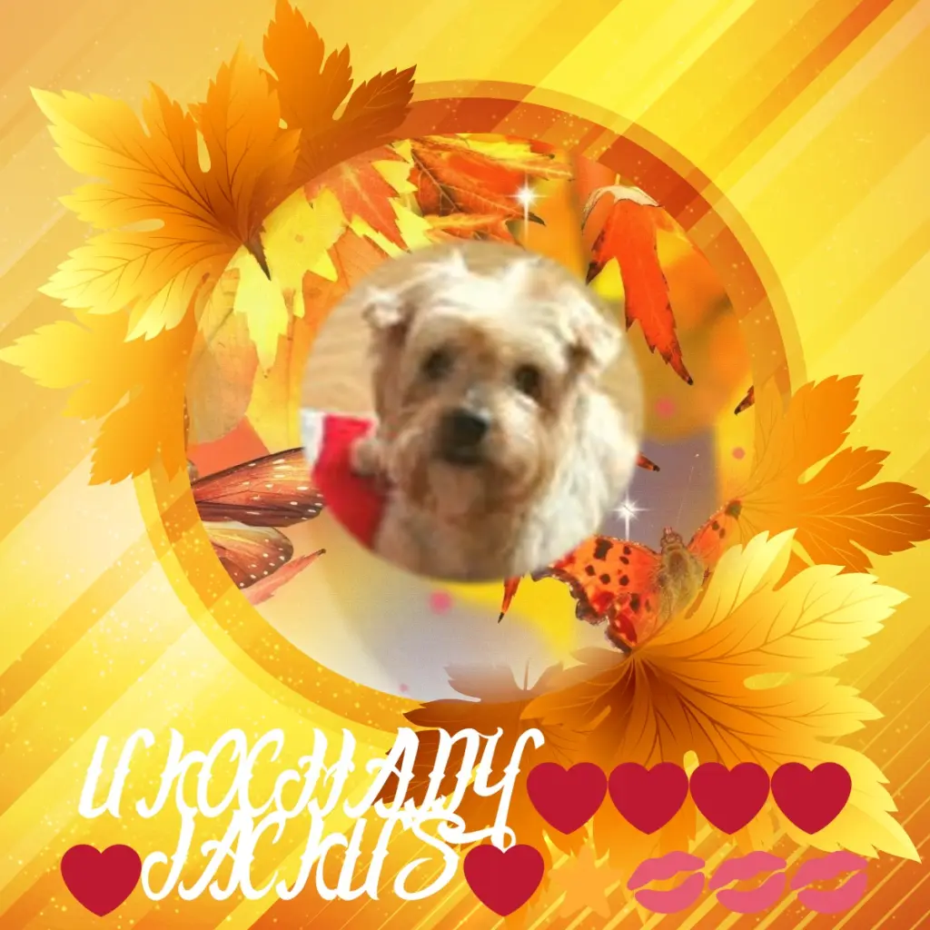 Condolence image of 100.Tygodni......Bez Ciebie❤️⭐️Ukochany❤️❤️❤️❤️❤️❤️Jackusiu❤️⭐️