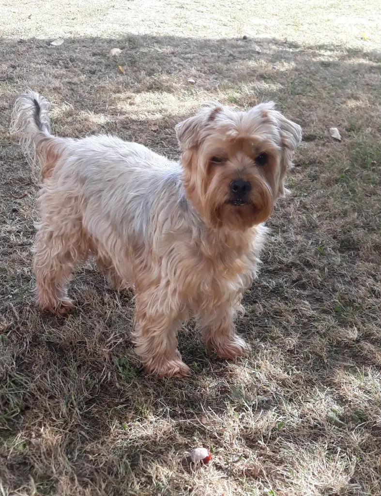 Condolence image of Ewa & Krzysztof 