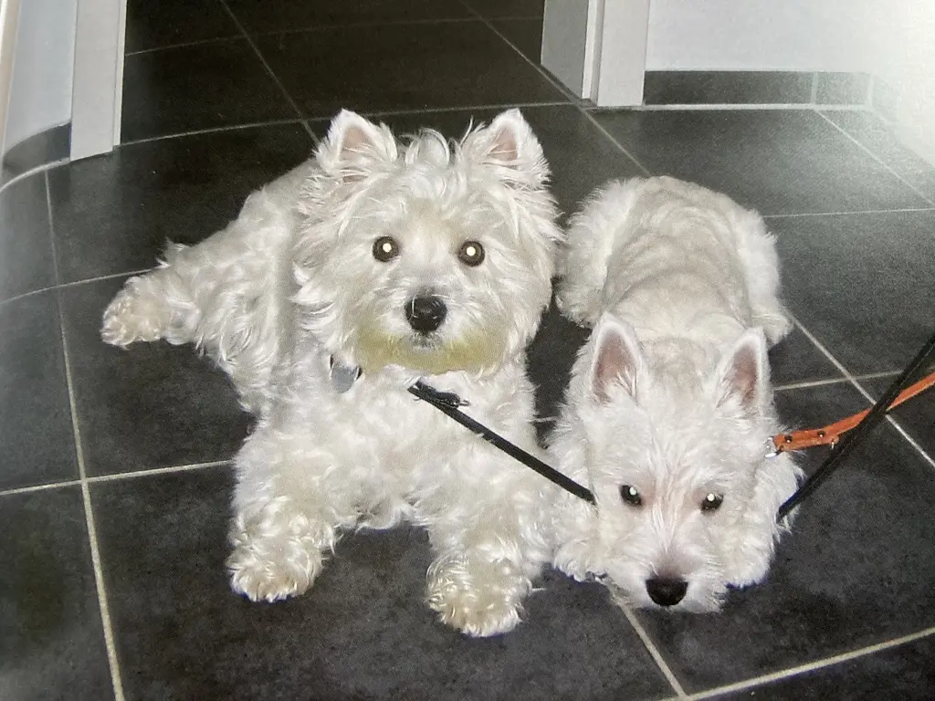 Condolence image of Unbekannt