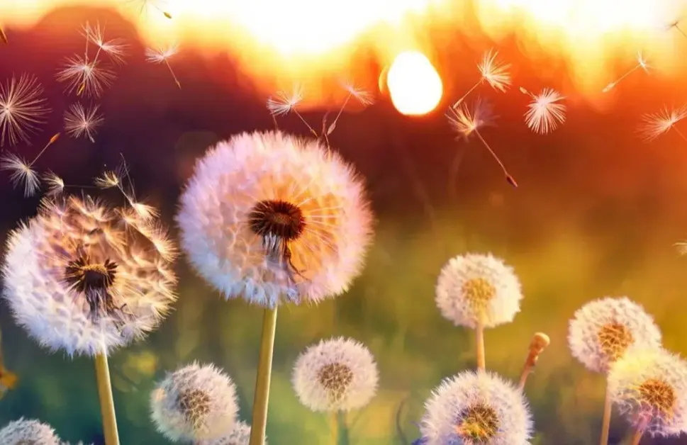 Condolence image of Ewa & Krzysztof 