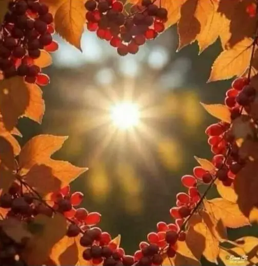 Condolence image of Ewa & Krzysztof 