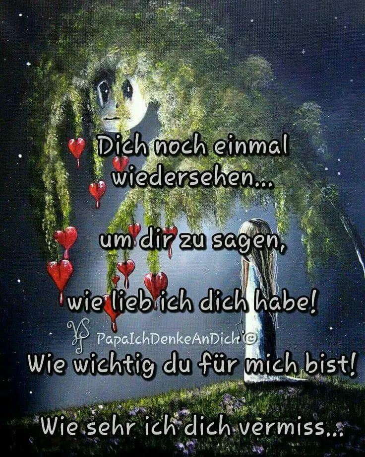 Condolence image of Martina mit Seelenhund Samy ♥️⭐♥️ für immer im Herzen 