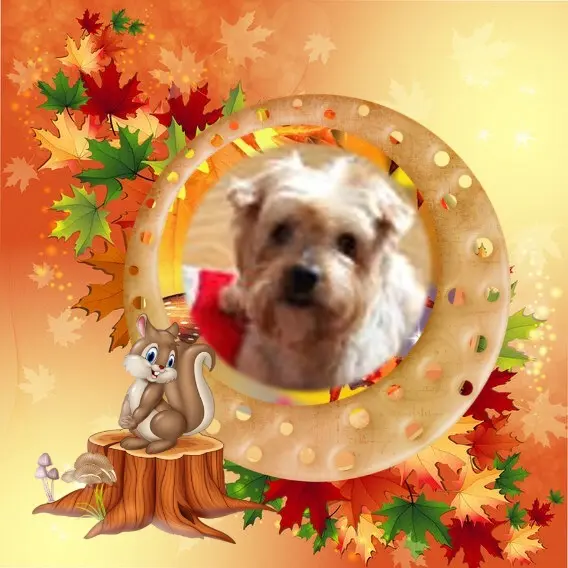 Condolence image of 102. Tygodnie......Bez Ciebie❤️⭐️Ukochany❤️❤️❤️❤️❤️❤️❤️❤️❤️Jackusiu❤️⭐️