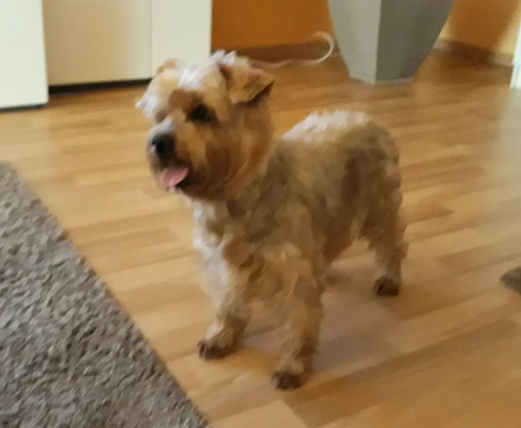 Condolence image of Ewa & Krzysztof 