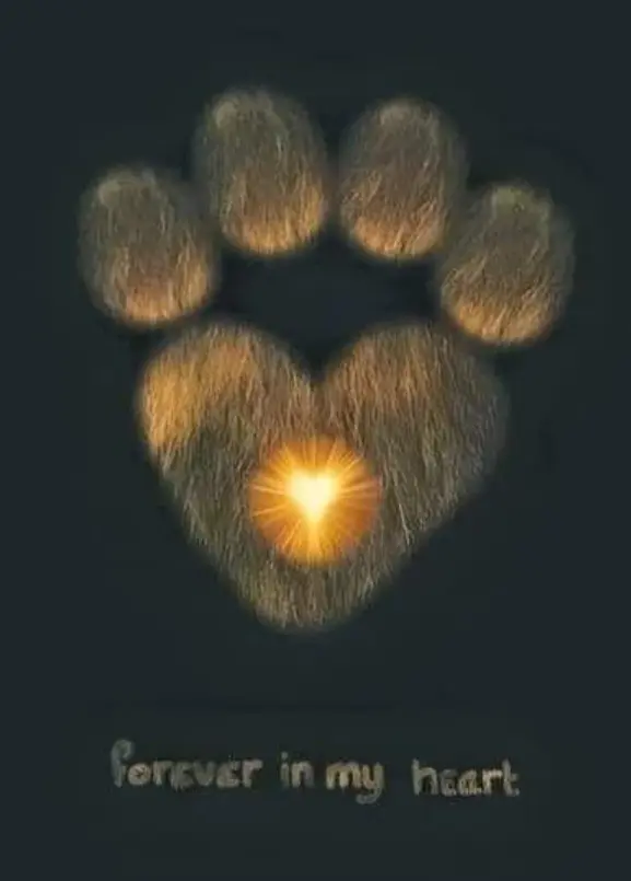 Condolence image of ⭐️Dobranoc nasz najdroższy Jackusiu♥️