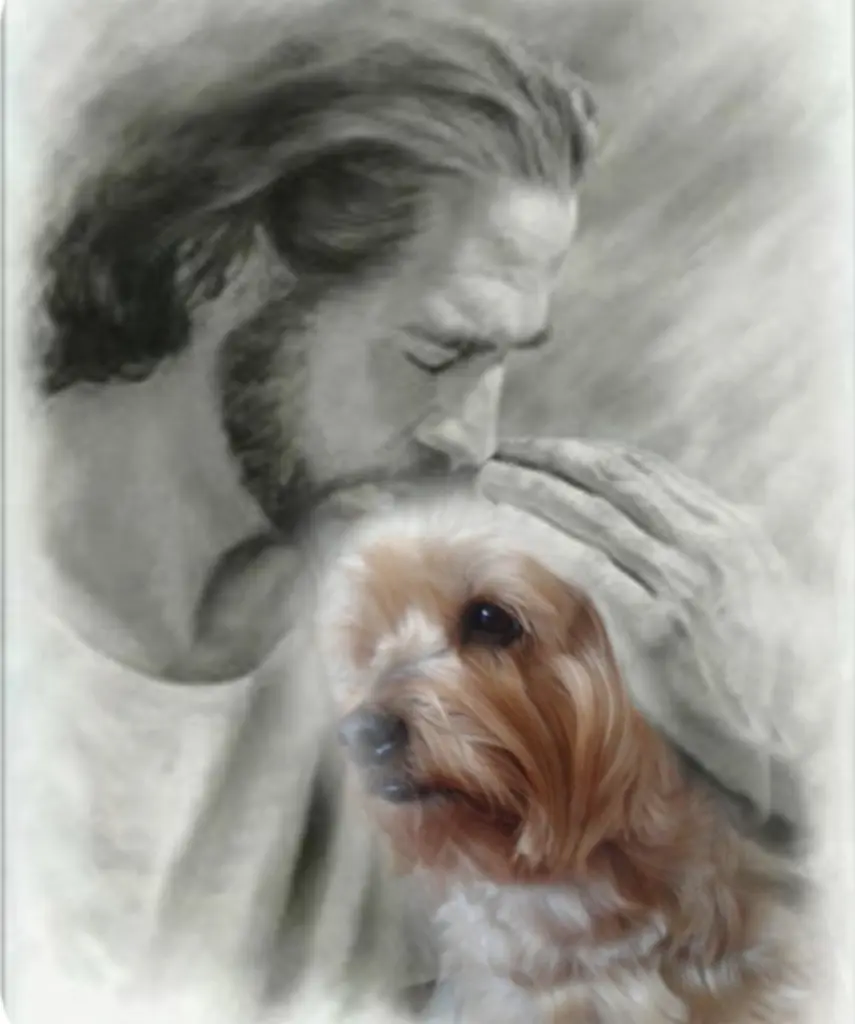 Condolence image of Ewa & Krzysztof 