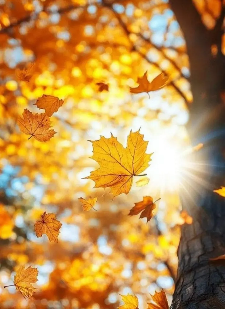 Condolence image of Ewa & Krzysztof 