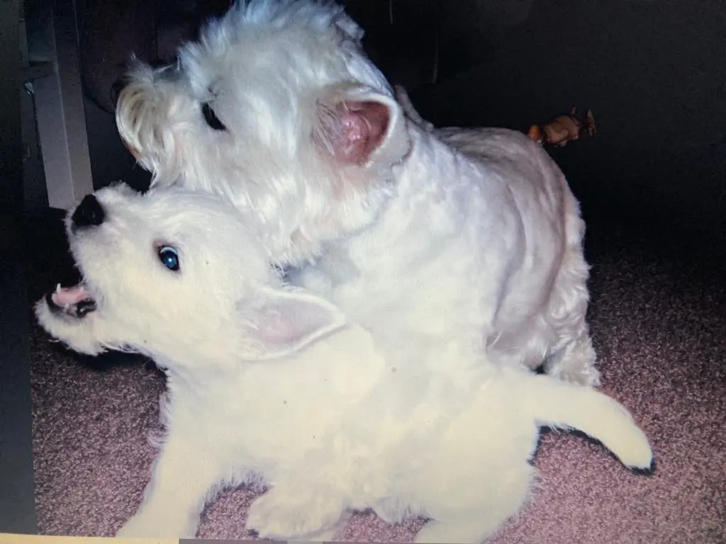 Condolence image of Unbekannt