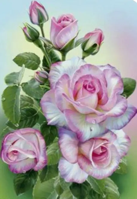 Condolence image of Ewa & Krzysztof 