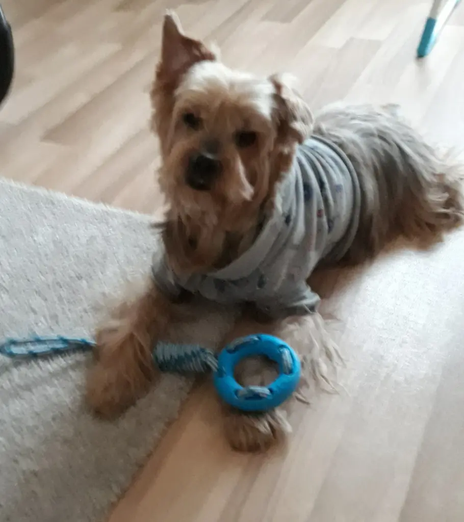 Condolence image of Ewa & Krzysztof 