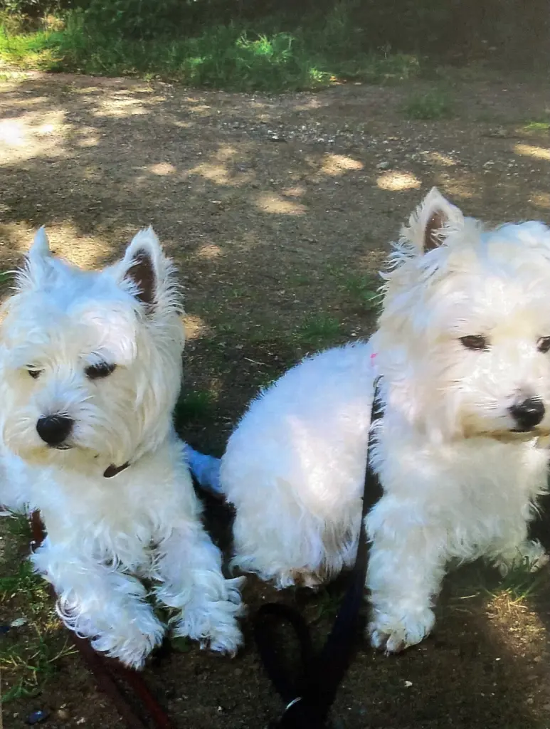 Condolence image of Unbekannt