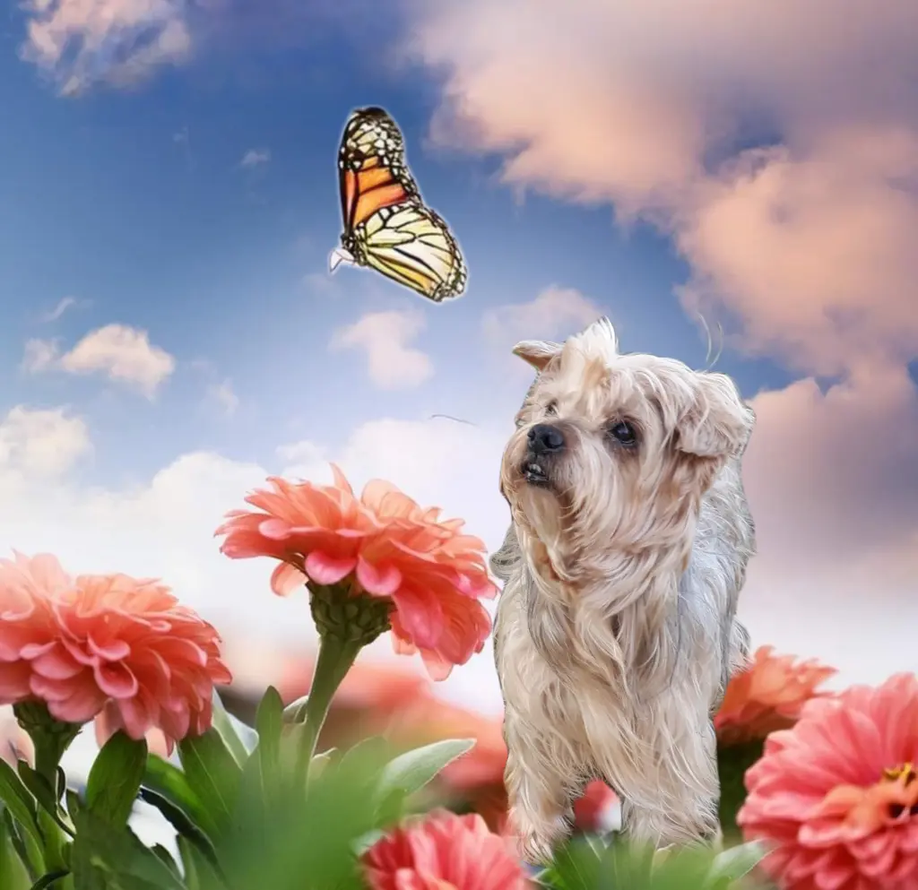 Condolence image of Ewa & Krzysztof 