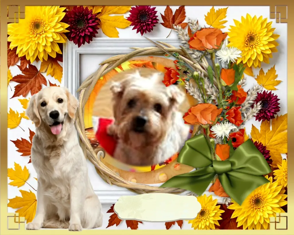 Condolence image of 104 Tygodnie.....Bez Ciebie❤️⭐️Jackuniu❤️⭐️