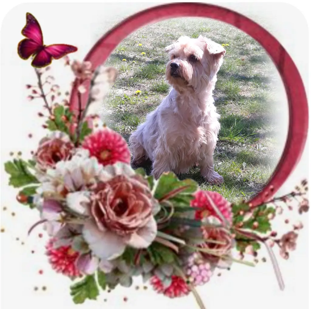 Condolence image of Ewa & Krzysztof 