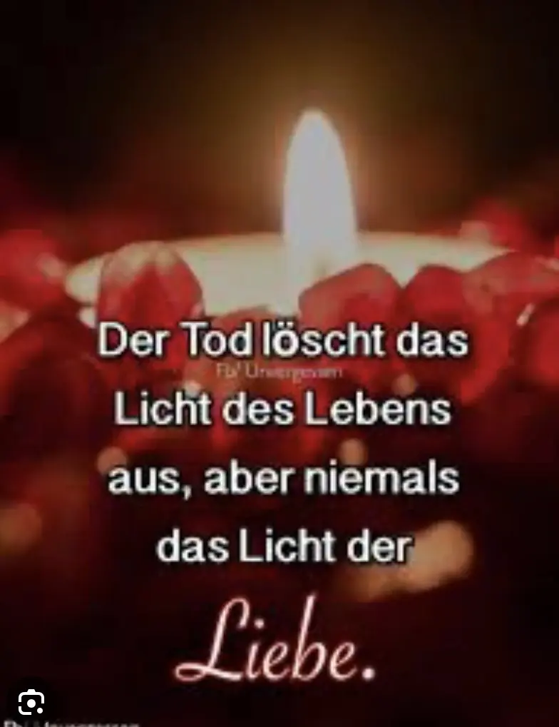 Condolence image of Wenke mit Lilli ❤️im❤️