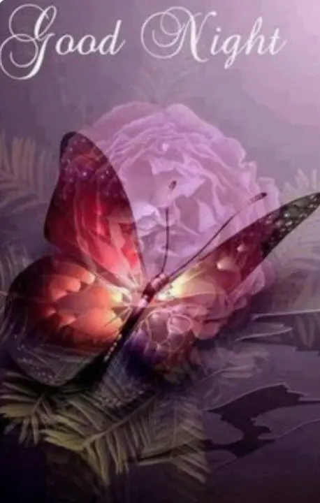 Condolence image of ⭐️Dobranoc nasz najdroższy Jackusiu♥️ 