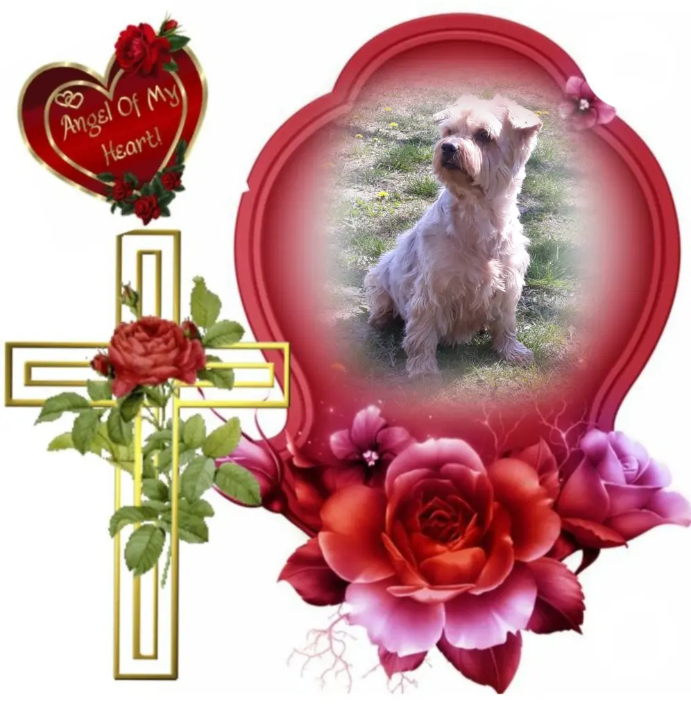 Condolence image of ♥️