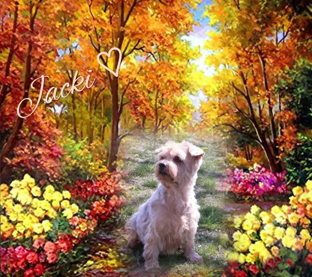 Condolence image of ❤️Dem Herzen ewig nah ❤️