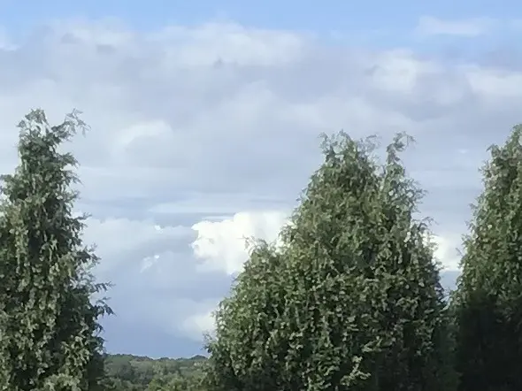 Condolence image of Für immer im Herzen❤️