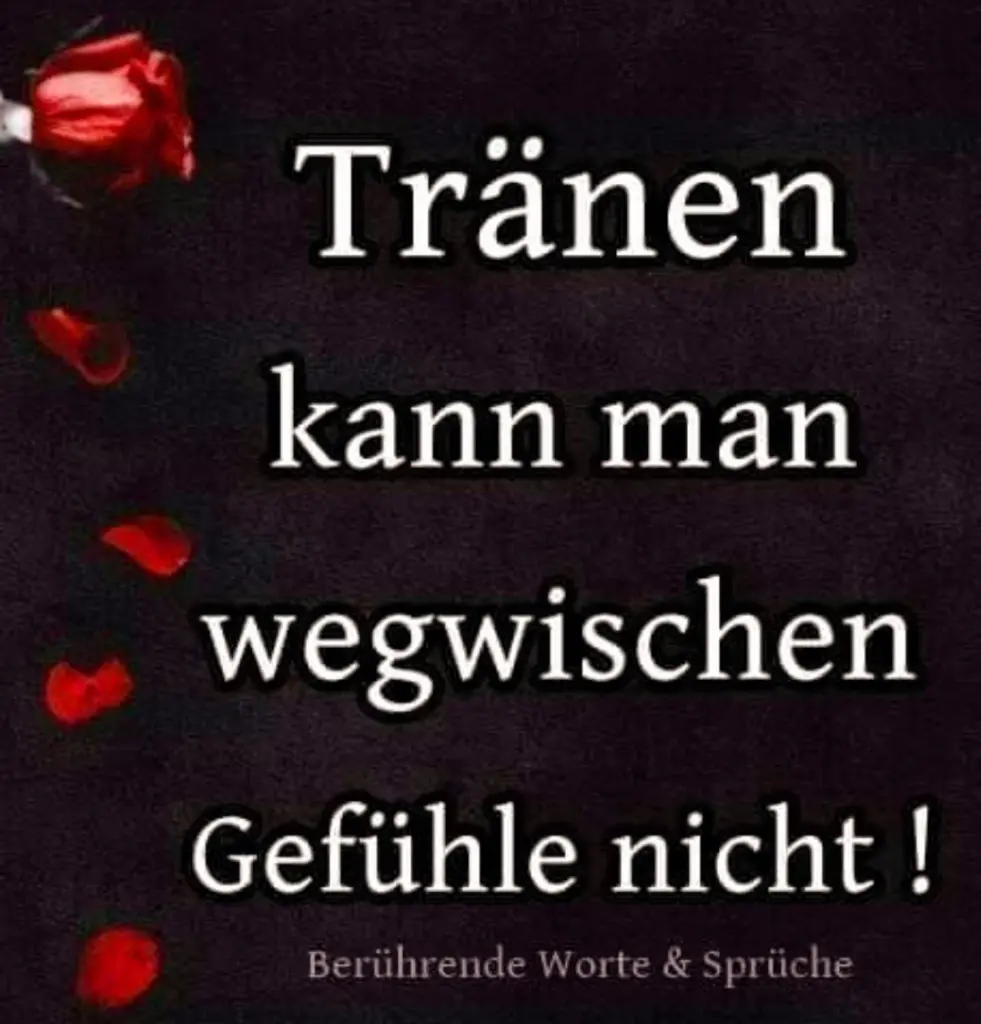 Condolence image of ❤️Jacki ⭐️ 24 Monate ohne dich ❤️