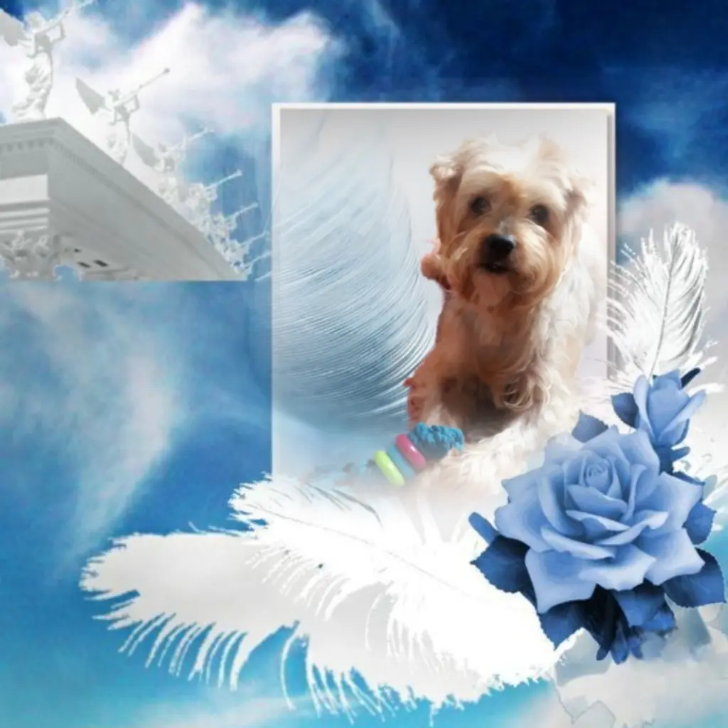 Condolence image of Ewa & Krzysztof 