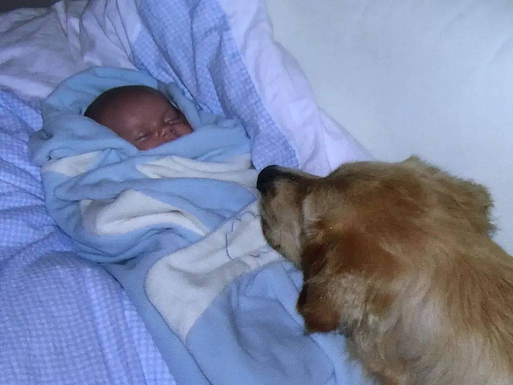 Condolence image of Angelika mit Luna ❤️