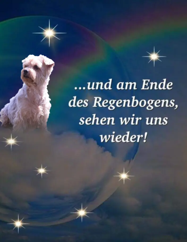 Condolence image of ⭐️Dobranoc nasz najdroższy Jackusiu♥️