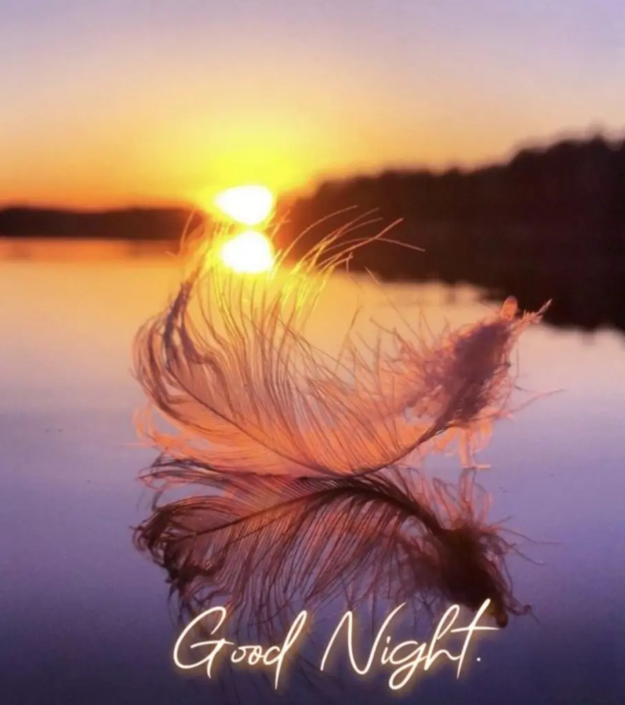 Condolence image of ⭐️Dobranoc nasz najdroższy Jackusiu♥️