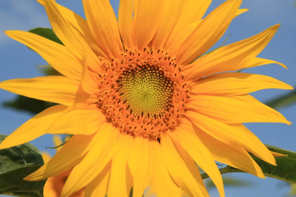 Condolence image of  ♡