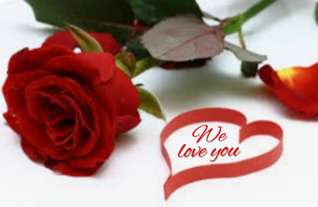 Condolence image of Ewa & Krzysztof 