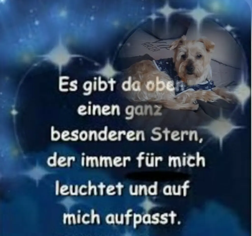 Condolence image of ⭐️Dobranoc nasz najdroższy Jackusiu♥️ 