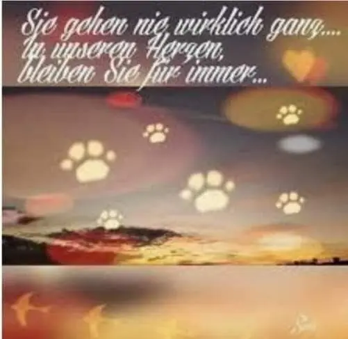 Condolence image of Claudia mit ASKO❤️ 